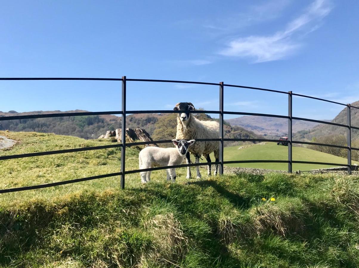 Bed and Breakfast Stiles Of Ambleside Esterno foto